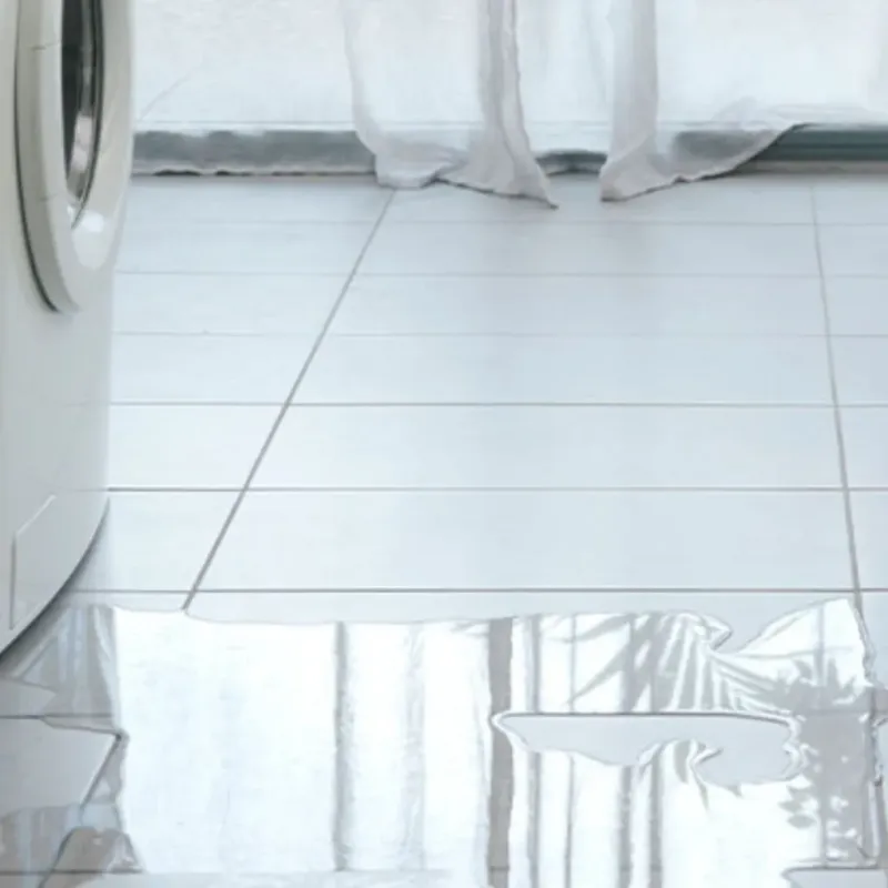 Appliance Leak Cleanup in Wheatland, CA