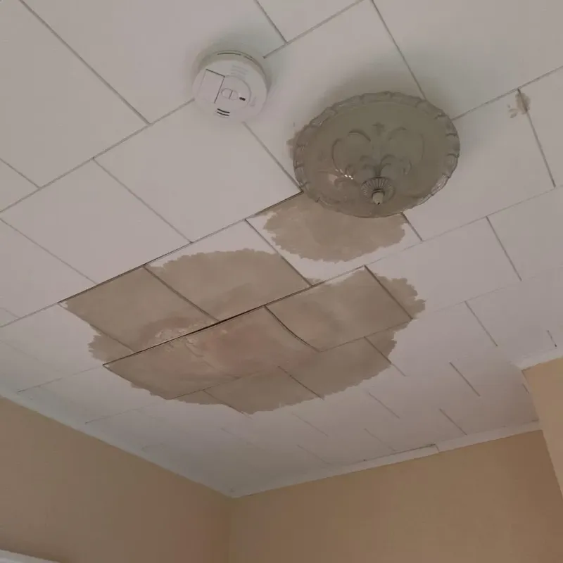 Ceiling Water Damage Repair in Wheatland, CA